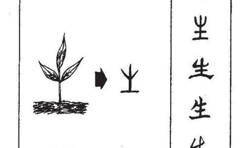 手指甲的作用网- 手指甲麻麻的怎么回事知识,分享手指甲的作用有哪些